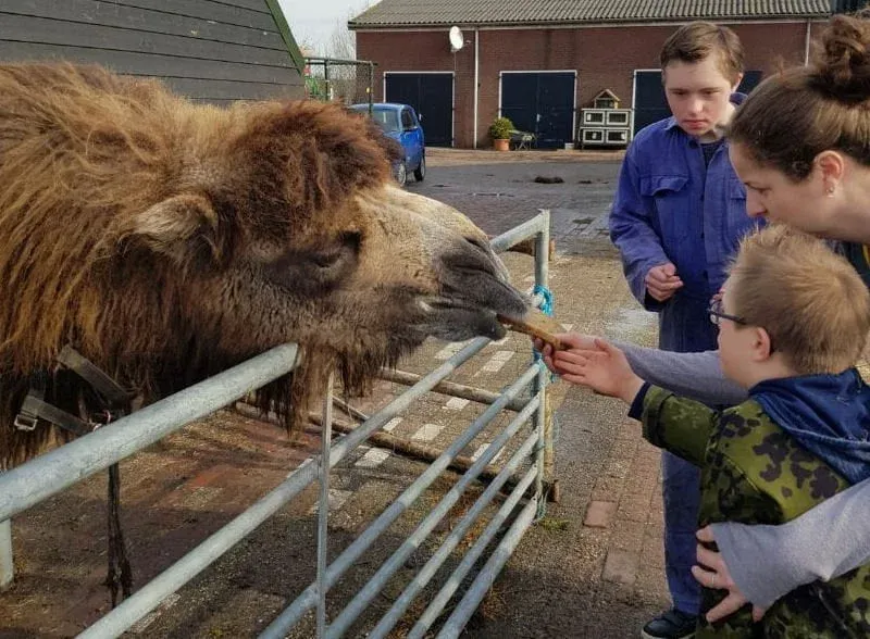 Speciaal korfbal Dalto bij Bloemheuvel