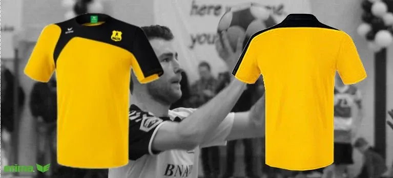 Iintroductie Daltoshirts 2017