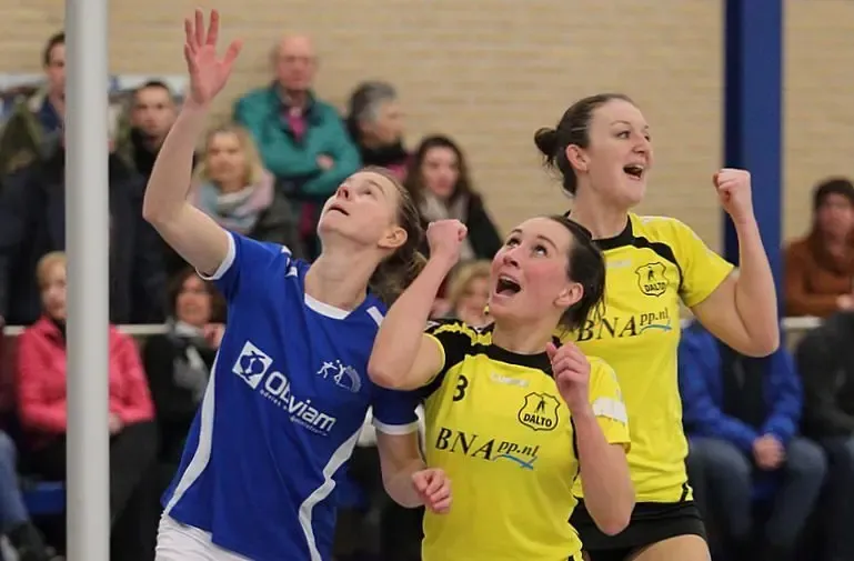 OVVO - Dalto in het AD