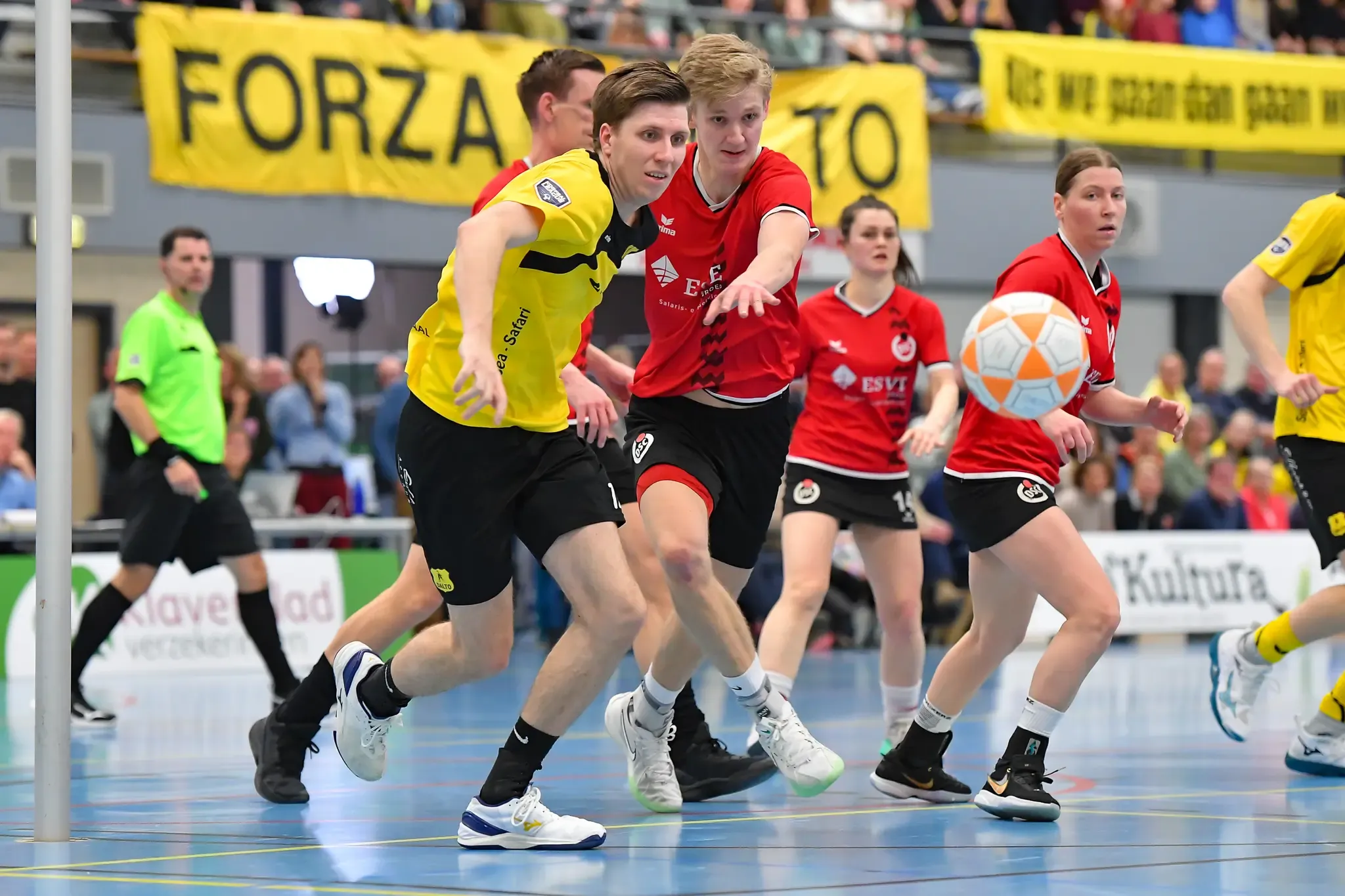 Dalto Dsc Website 10