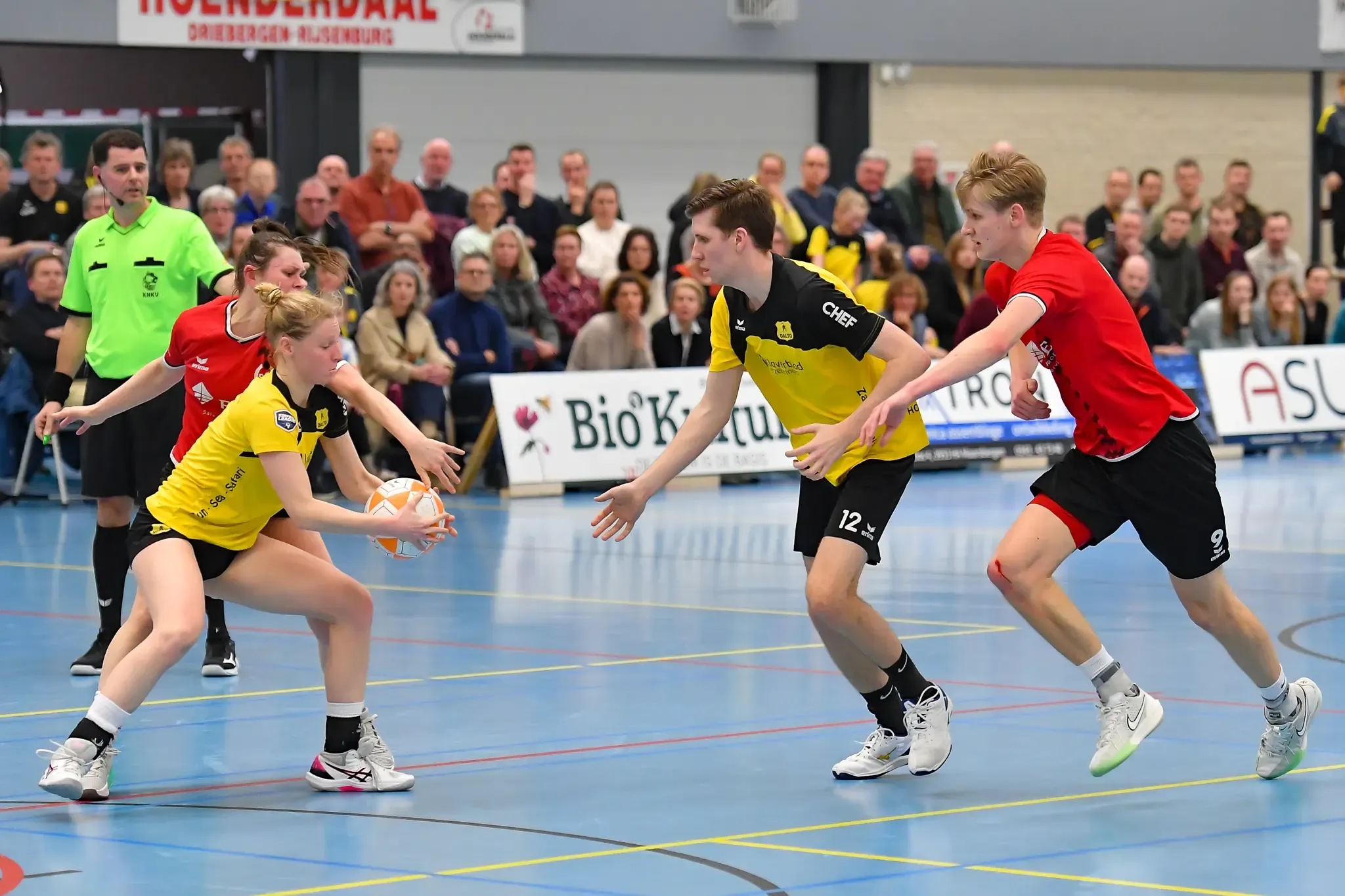 Dalto Dsc Website 15