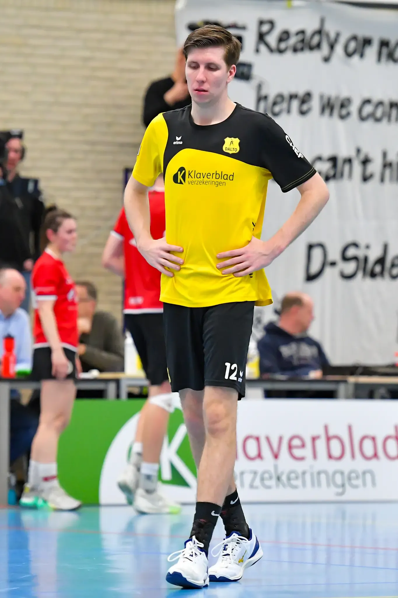 Dalto Dsc Website 25