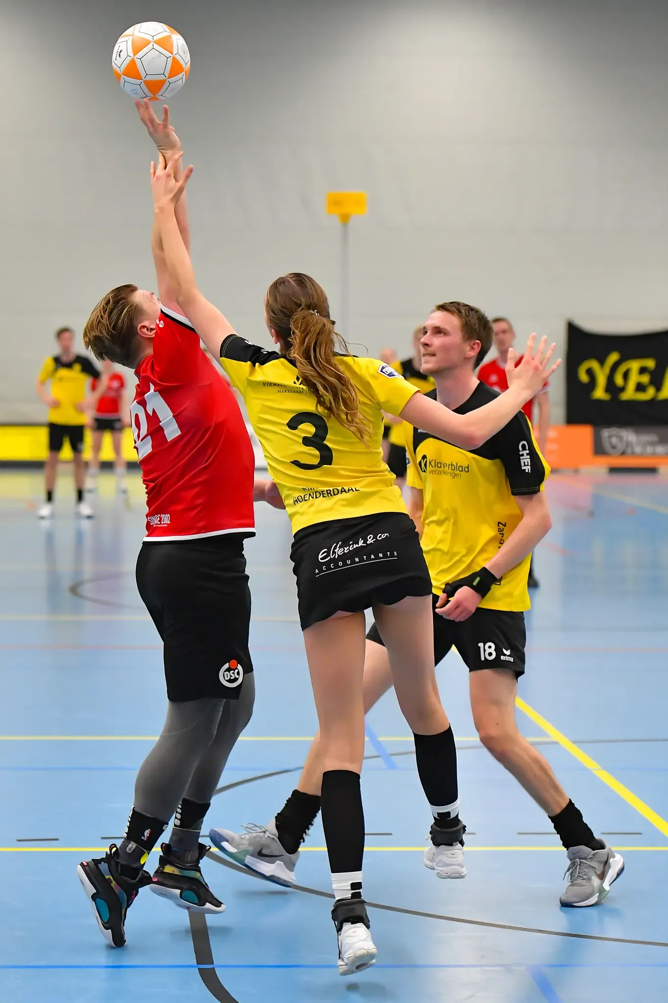 Dalto Dsc Website 30