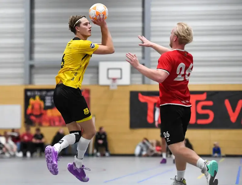 20241116 DSC Dalto - Dalto/Klaverblad Verzekeringen - Korfbal - Driebergen